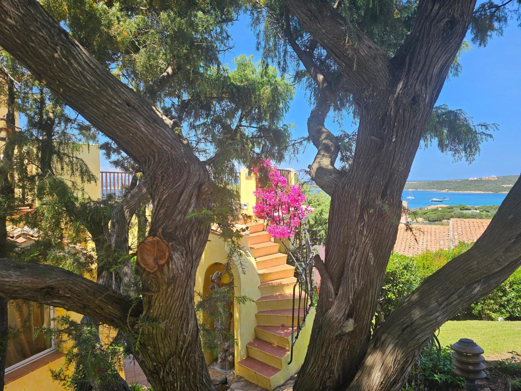Villa TEA Costa Smeralda - Porto Cervo Esterno foto